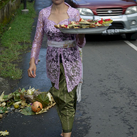 Photo de Bali - Balade, Garuda et spectacle